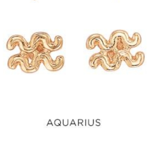 New! Aquarius Stud earrings - Picture 2 of 7